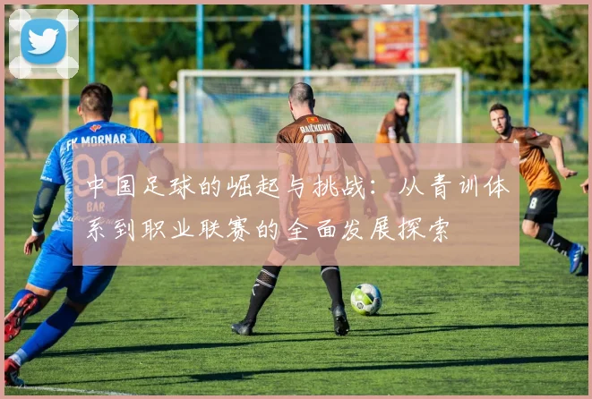 中国足球的崛起与挑战：从青训体系到职业联赛的全面发展探索