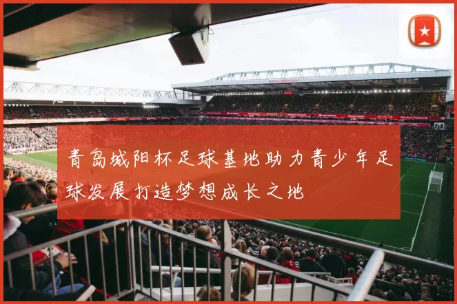 青岛城阳杯足球基地助力青少年足球发展打造梦想成长之地