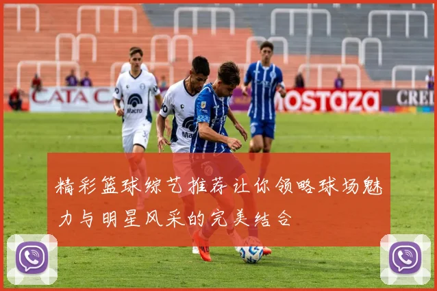 精彩篮球综艺推荐让你领略球场魅力与明星风采的完美结合