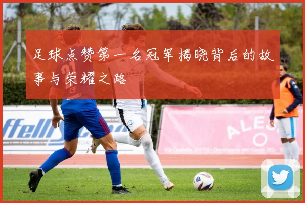 足球点赞第一名冠军揭晓背后的故事与荣耀之路
